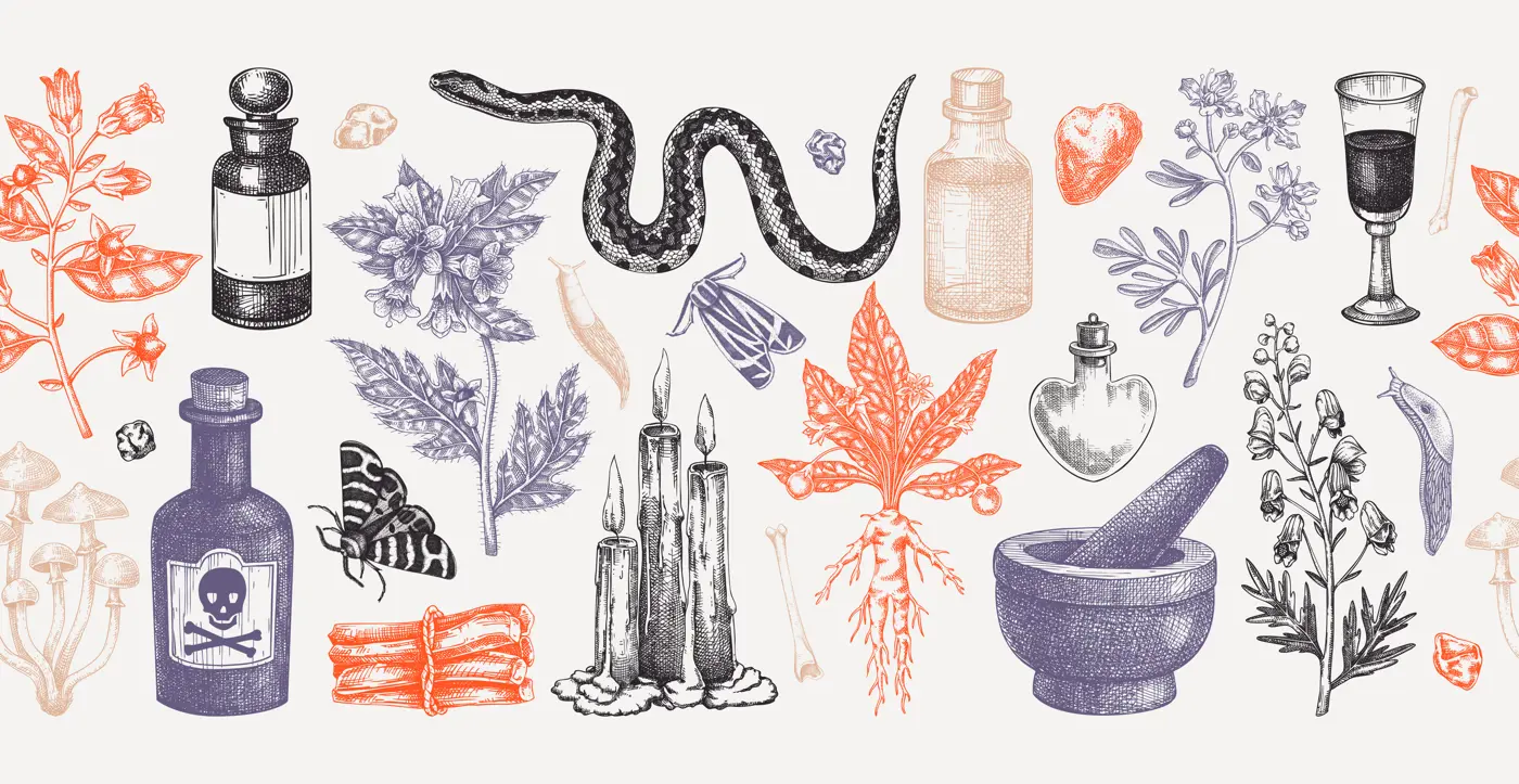 Witchcraft hand drawn vector illustrations. Bohemian seamless ribbon. Halloween background. Witch herbs, poisonous plants, magic ingredients sketches. NOT AI generated Illustration